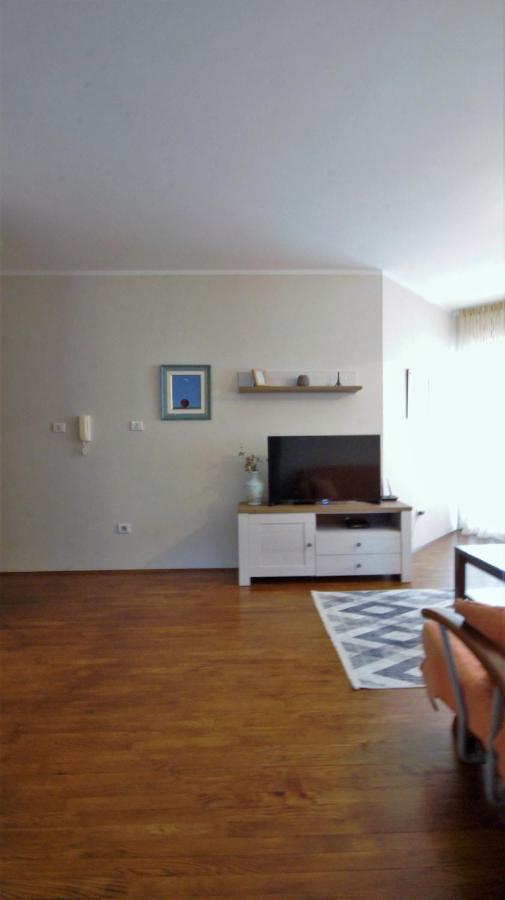 Apartment Alex Budva